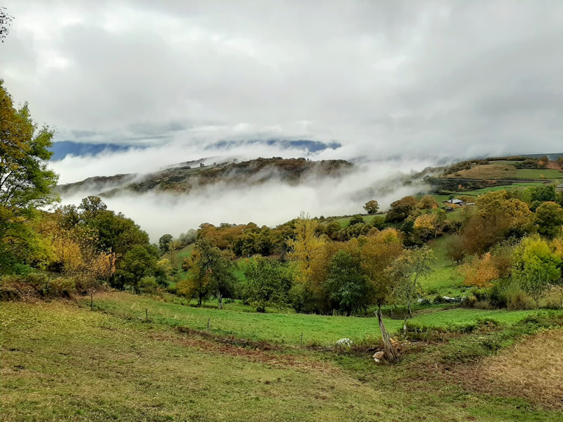 Realmente, enamorado de El Bierzo