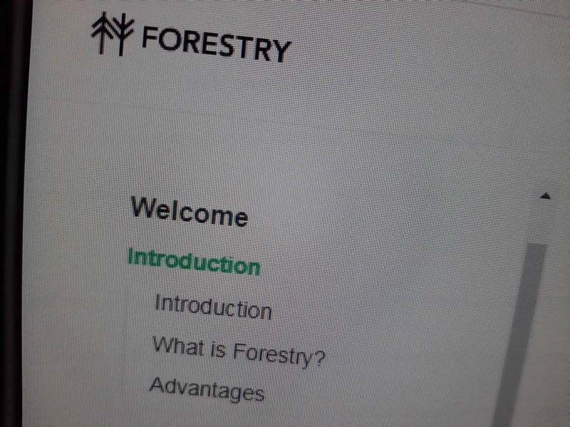 Anem a fer proves amb el CMS Forestry